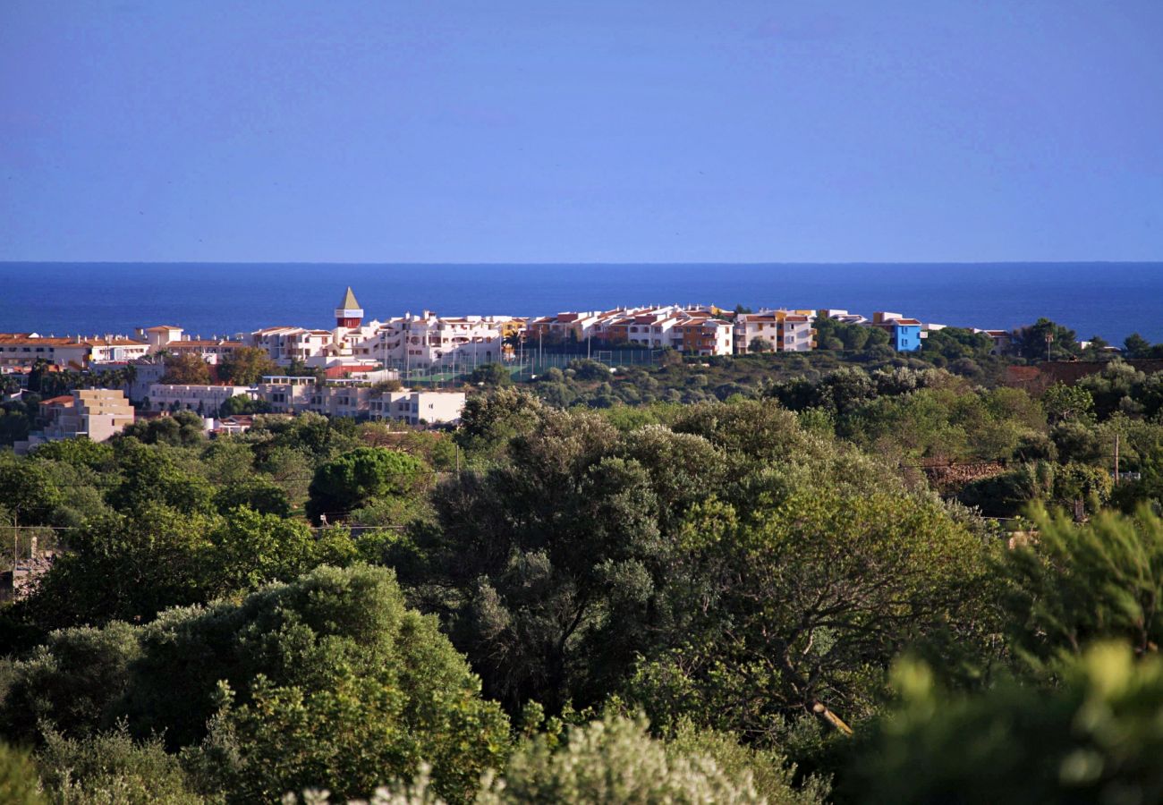 Country house in Porto Cristo - Finca Vista Alegre - Porto Cristo - Mallorca