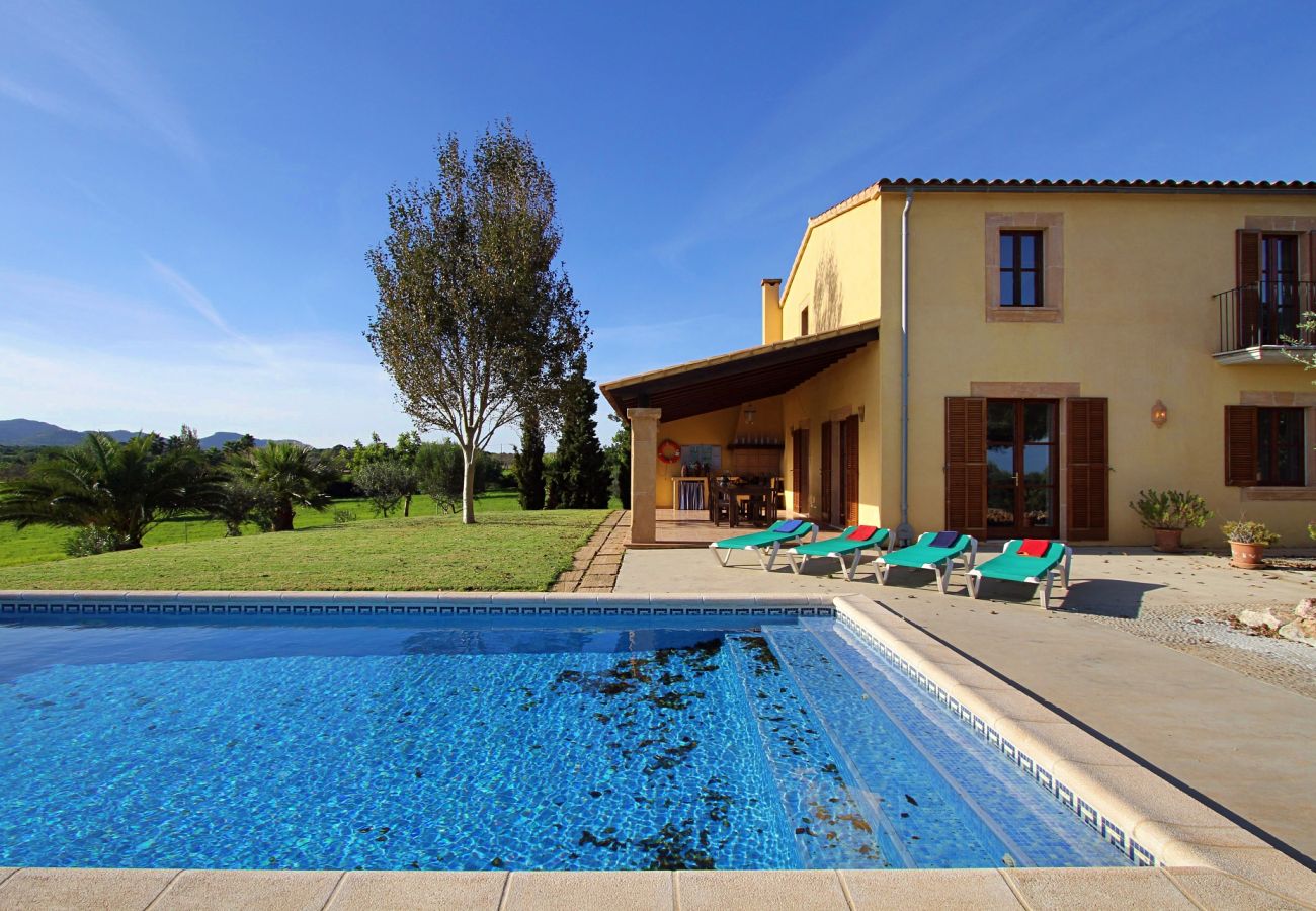 Country house in Porto Cristo - Finca Vista Alegre - Porto Cristo - Mallorca