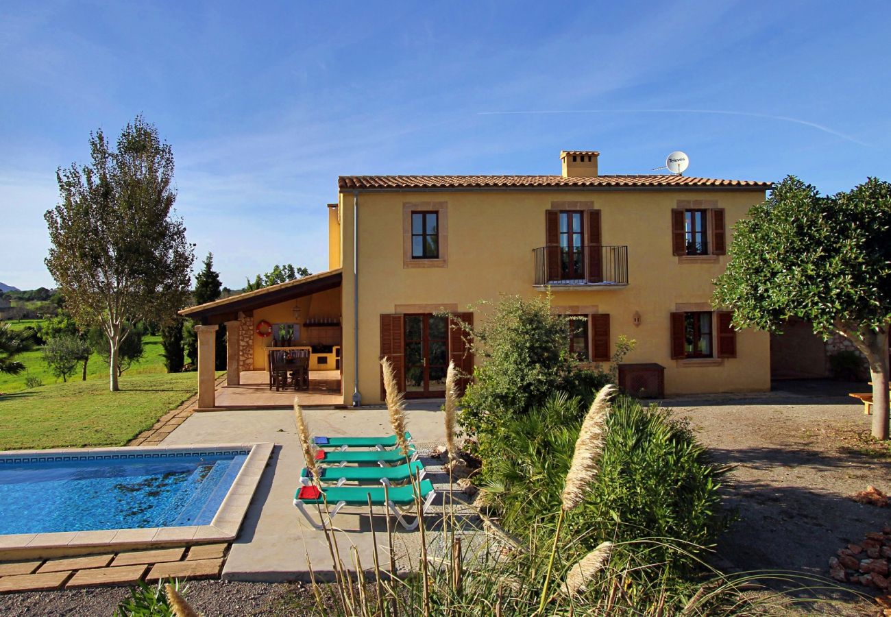 Country house in Porto Cristo - Finca Vista Alegre - Porto Cristo - Mallorca