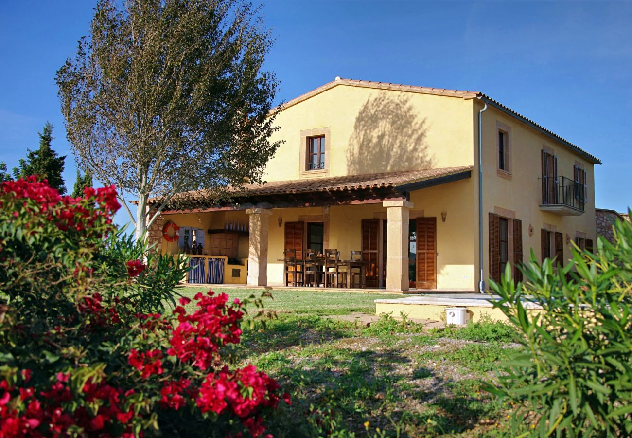 Country house in Porto Cristo - Finca Vista Alegre - Porto Cristo - Mallorca