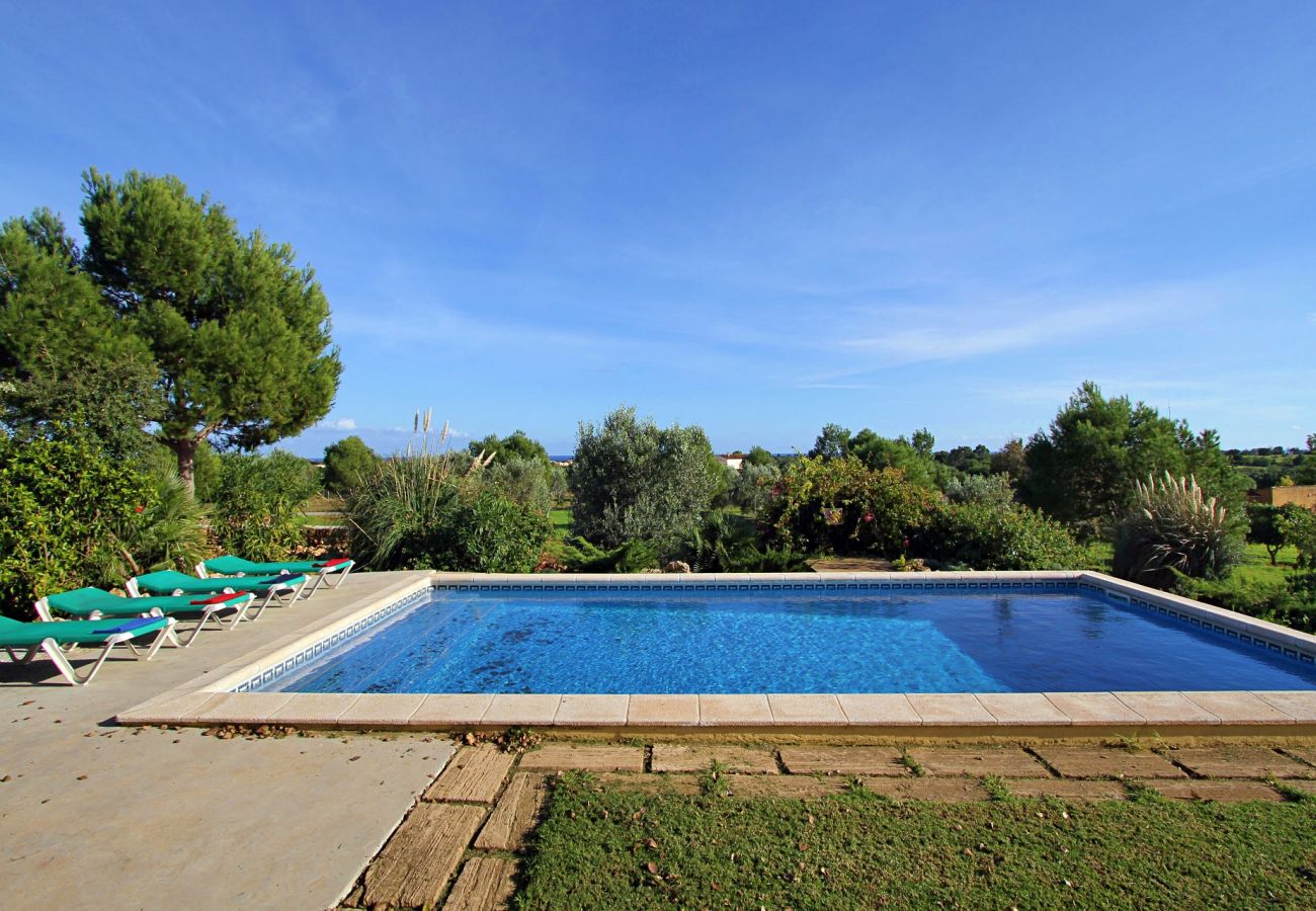 Country house in Porto Cristo - Finca Vista Alegre - Porto Cristo - Mallorca