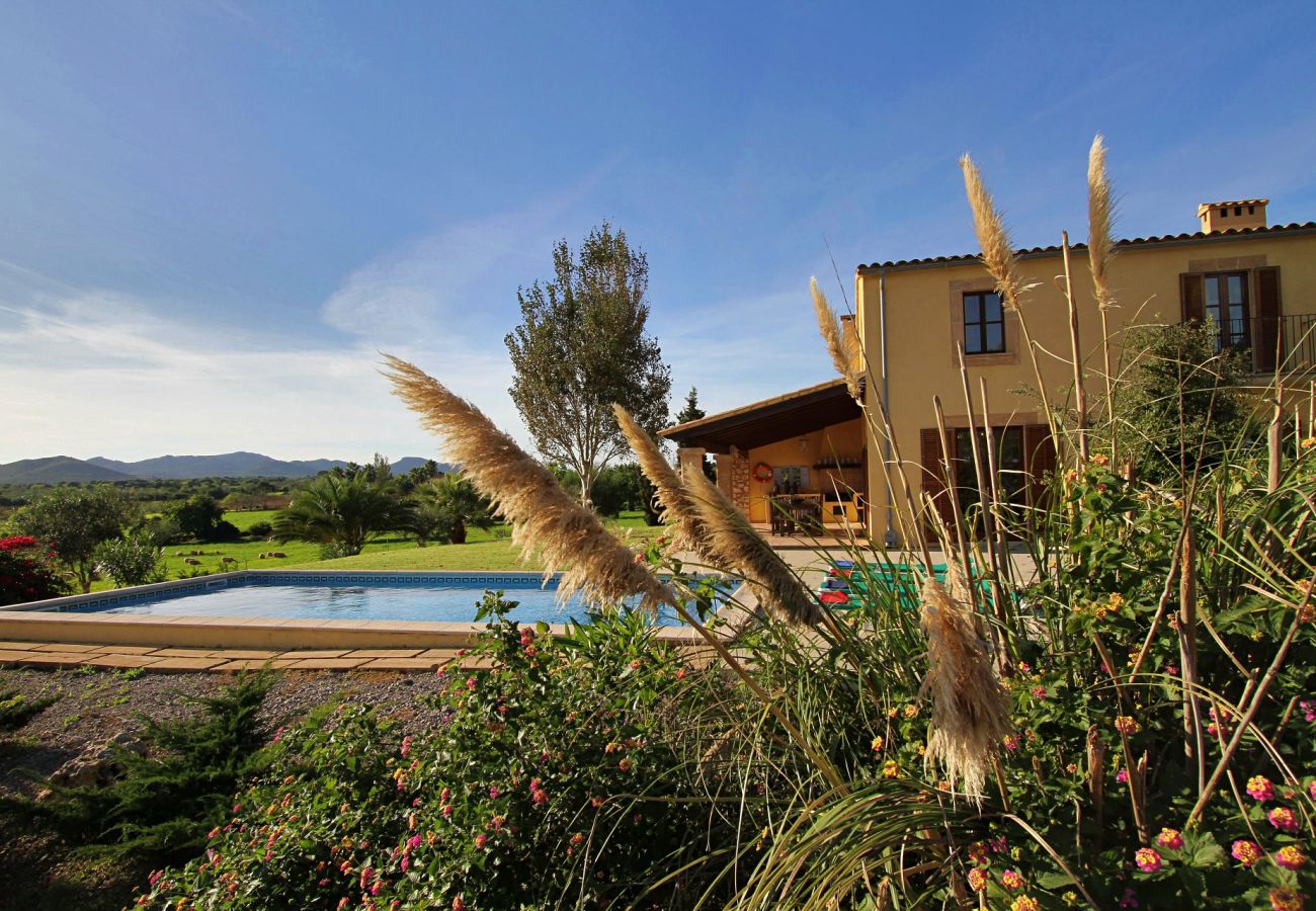 Country house in Porto Cristo - Finca Vista Alegre - Porto Cristo - Mallorca