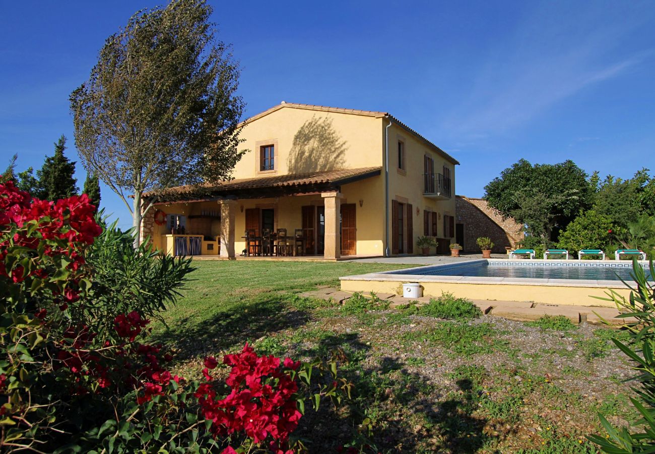 Country house in Porto Cristo - Finca Vista Alegre - Porto Cristo - Mallorca