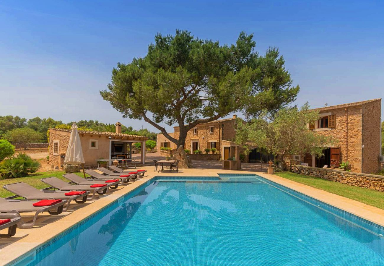 Country house in Santanyi - Ses Angoixes - Santanyi - Mallorca