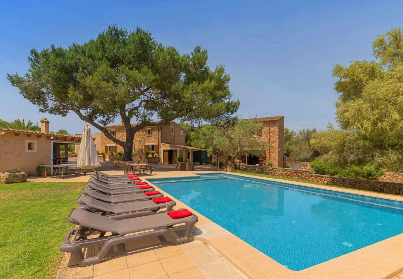 Country house in Santanyi - Ses Angoixes - Santanyi - Mallorca