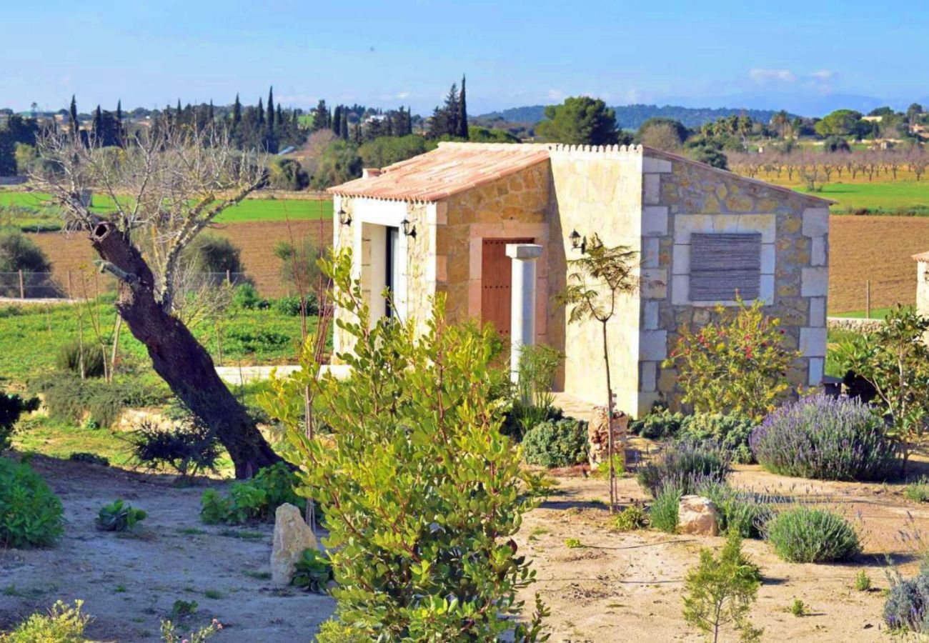 Country house in Maria de la salut - El Rincon de Maria