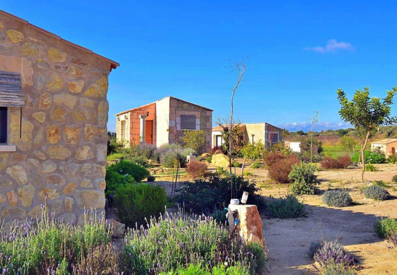 Country house in Maria de la salut - El Rincon de Maria