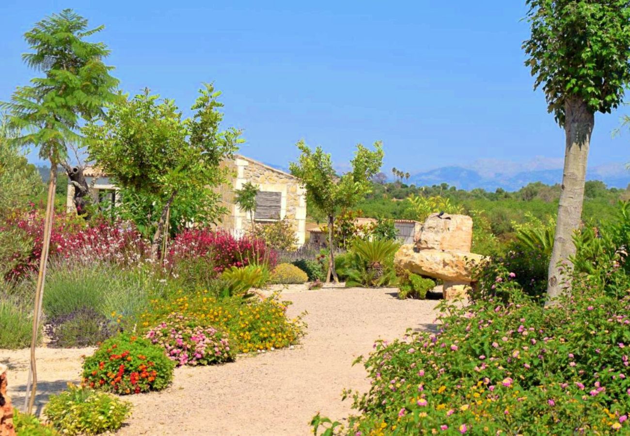 Country house in Maria de la salut - El Rincon de Maria