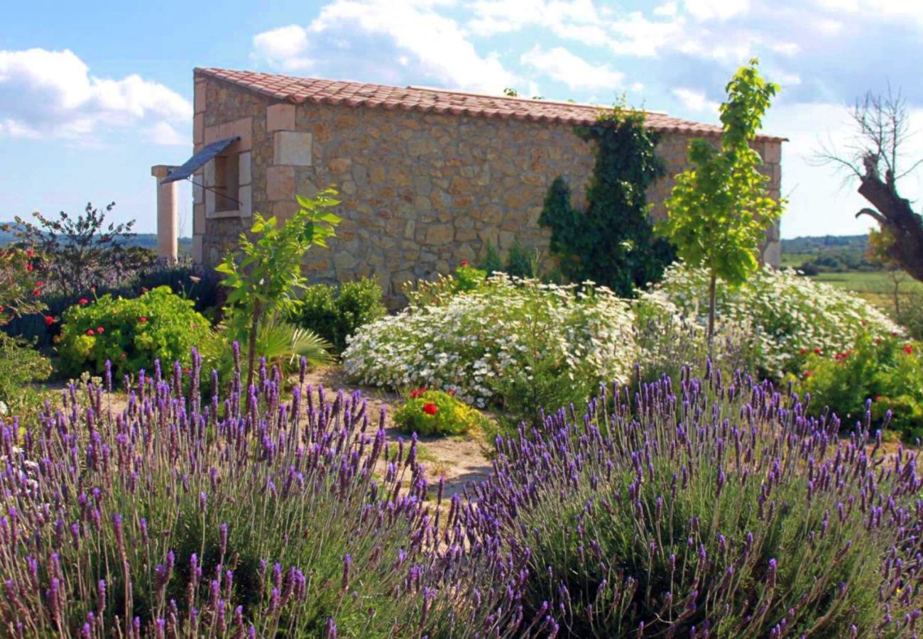 Country house in Maria de la salut - El Rincon de Maria