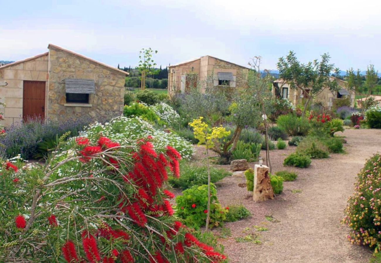 Country house in Maria de la salut - El Rincon de Maria