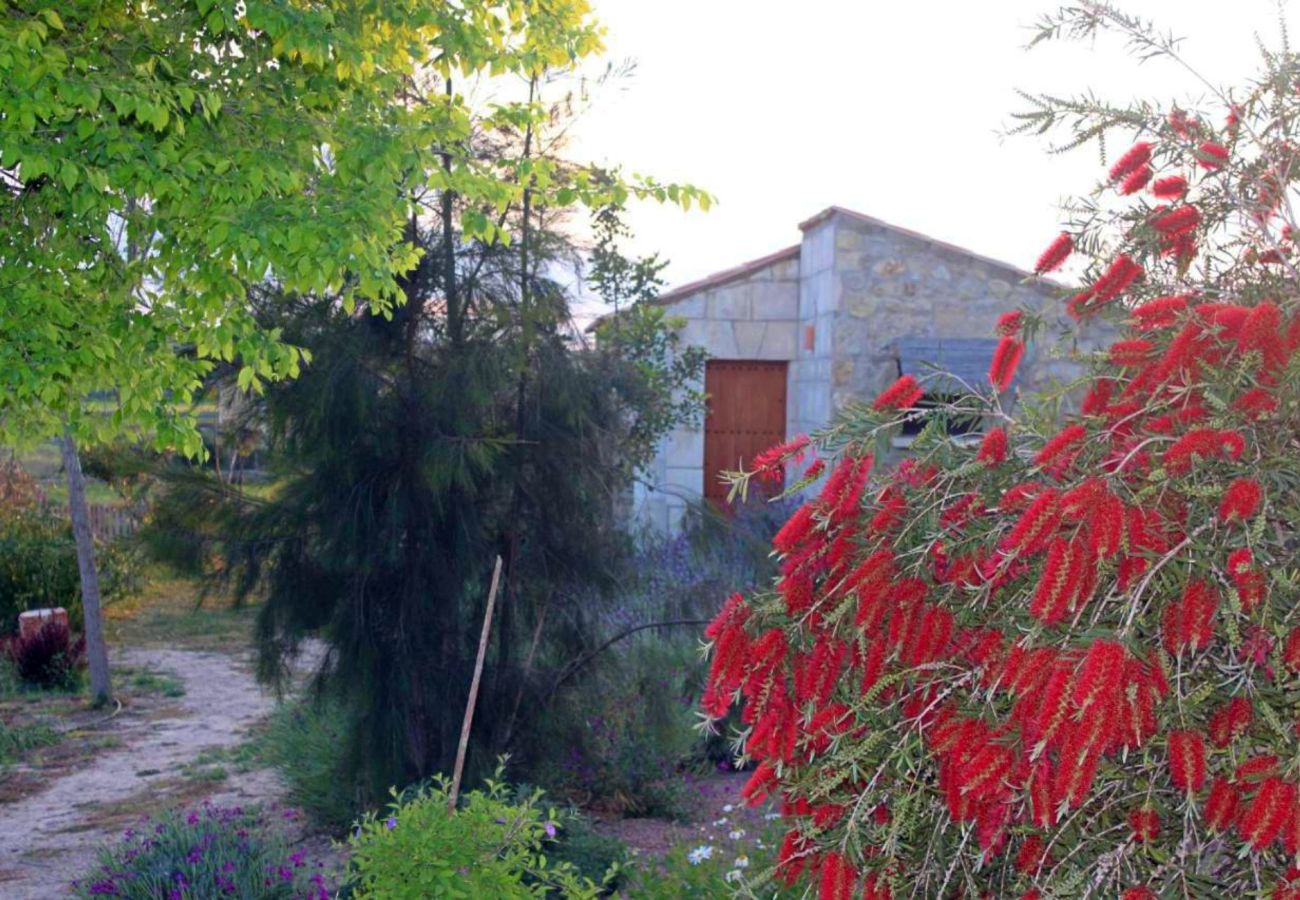 Country house in Maria de la salut - El Rincon de Maria