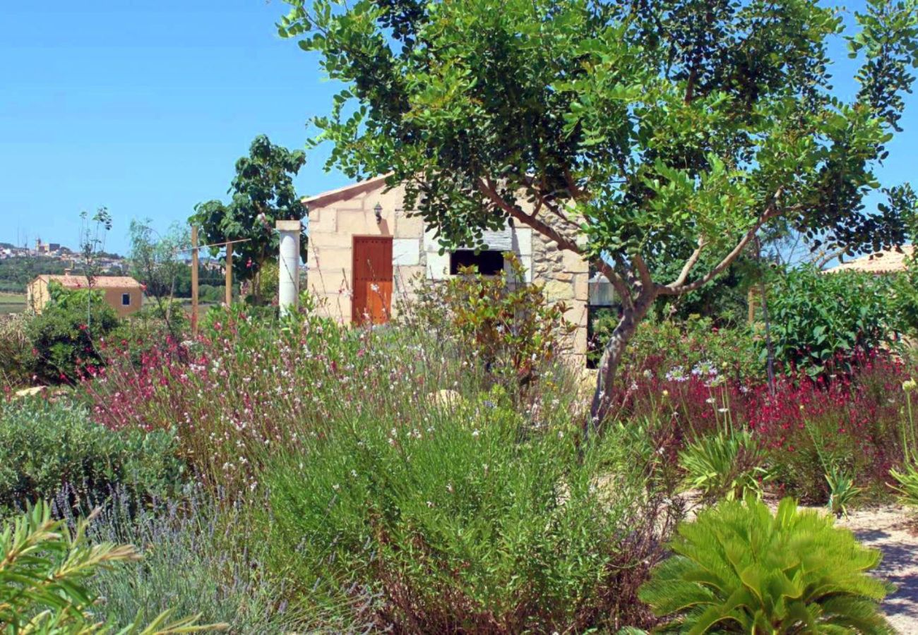 Country house in Maria de la salut - El Rincon de Maria