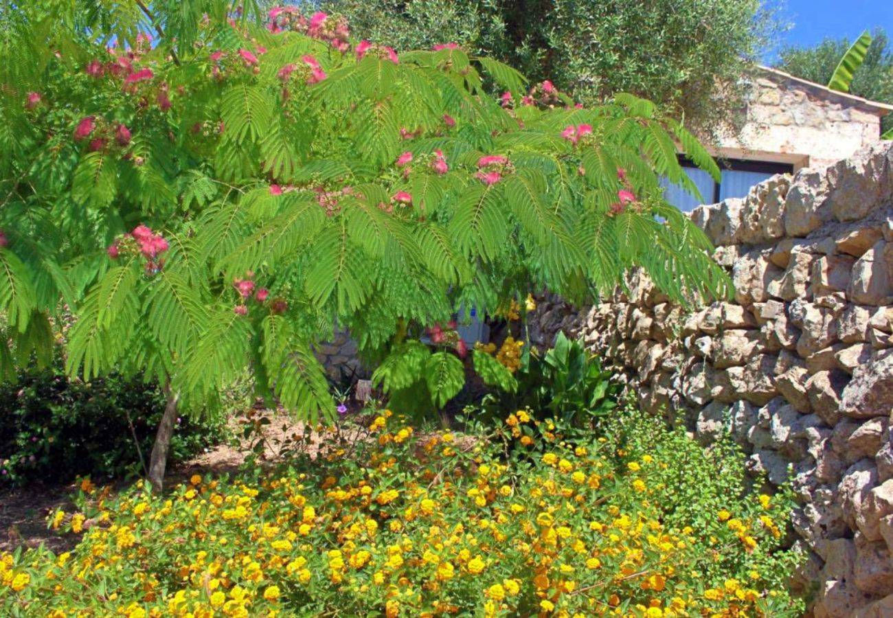 Country house in Maria de la salut - El Rincon de Maria