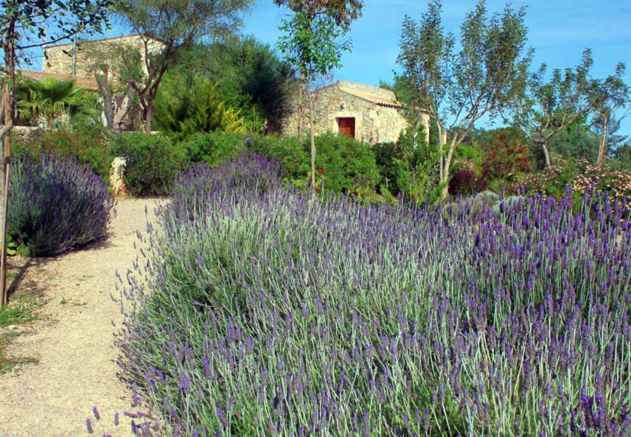 Country house in Maria de la salut - El Rincon de Maria