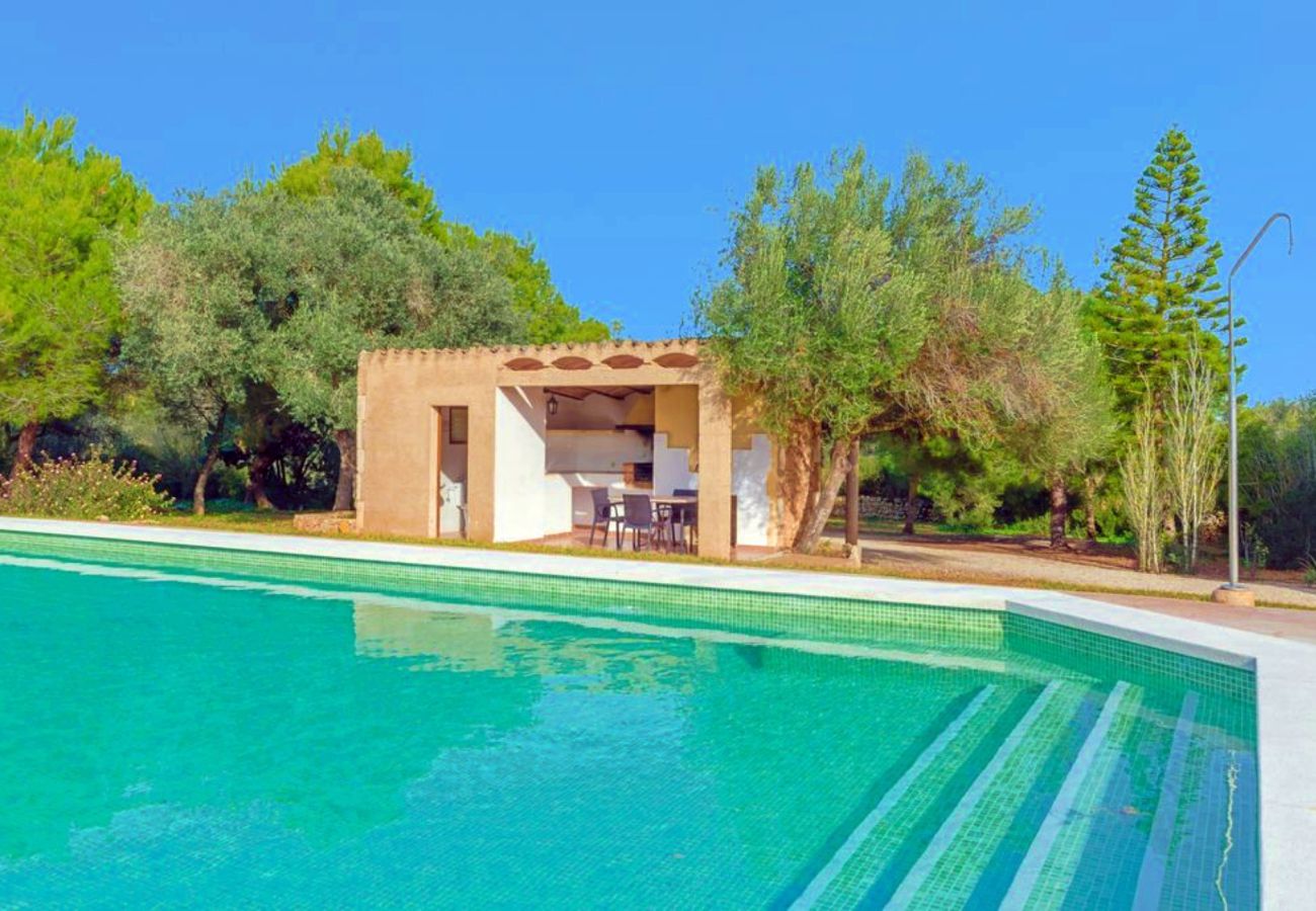 Country house in Campos - Finca Es Figueral - Campos