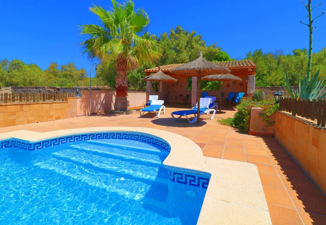 Country house in Campos - Finca Alcoraia - Campos - Mallorca