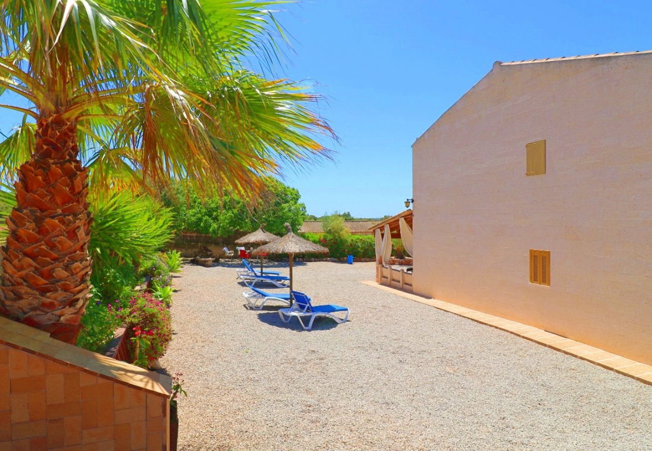 Country house in Campos - Finca Alcoraia - Campos - Mallorca