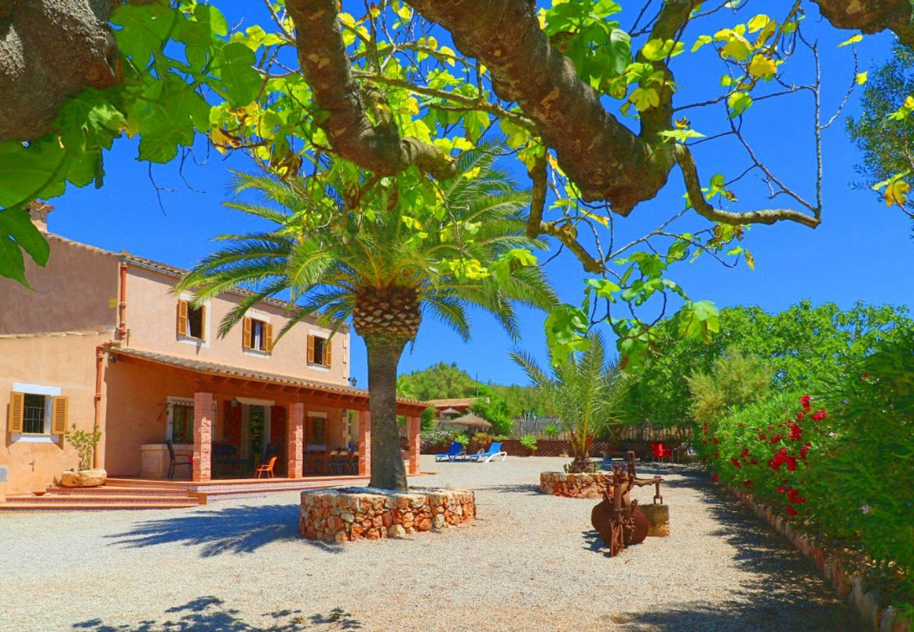 Country house in Campos - Finca Alcoraia - Campos - Mallorca