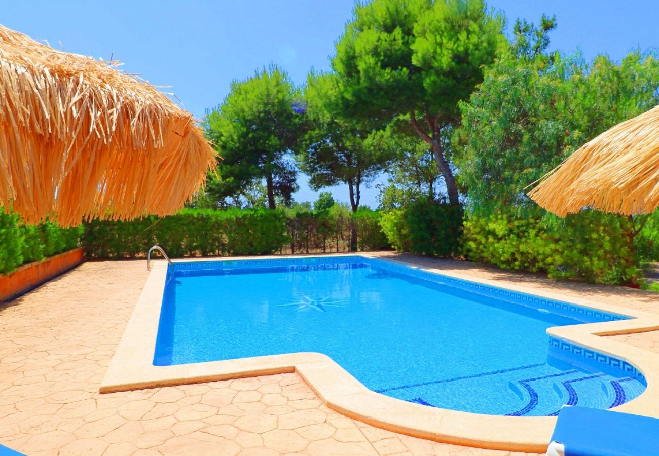 Country house in Campos - Finca Can Crestall - Campos - Mallorca